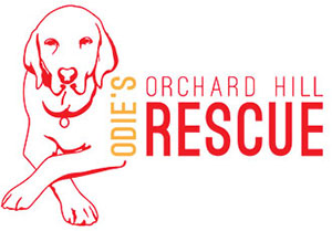 Odie Orchard Hill Rescue